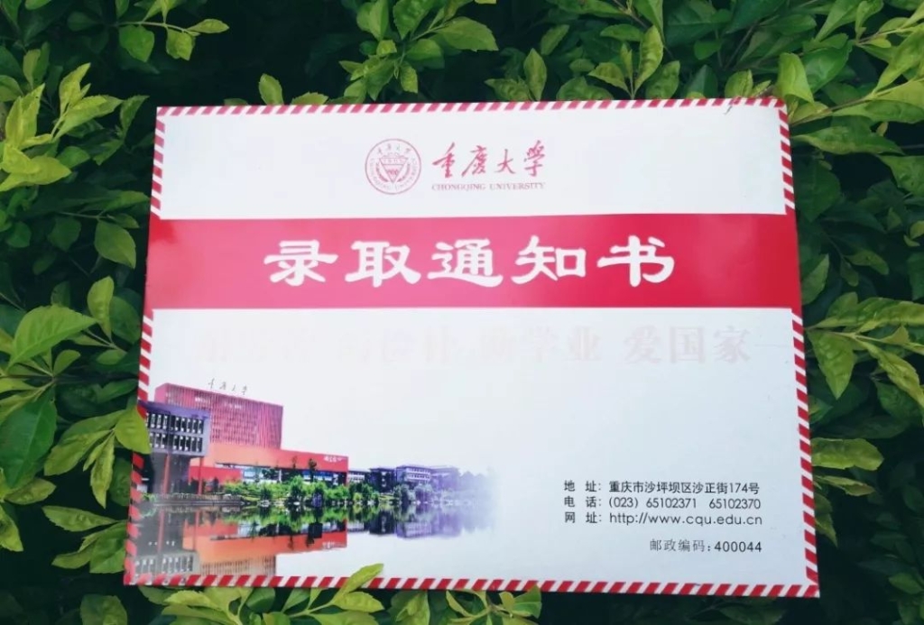 重庆大学毕业证补办流程