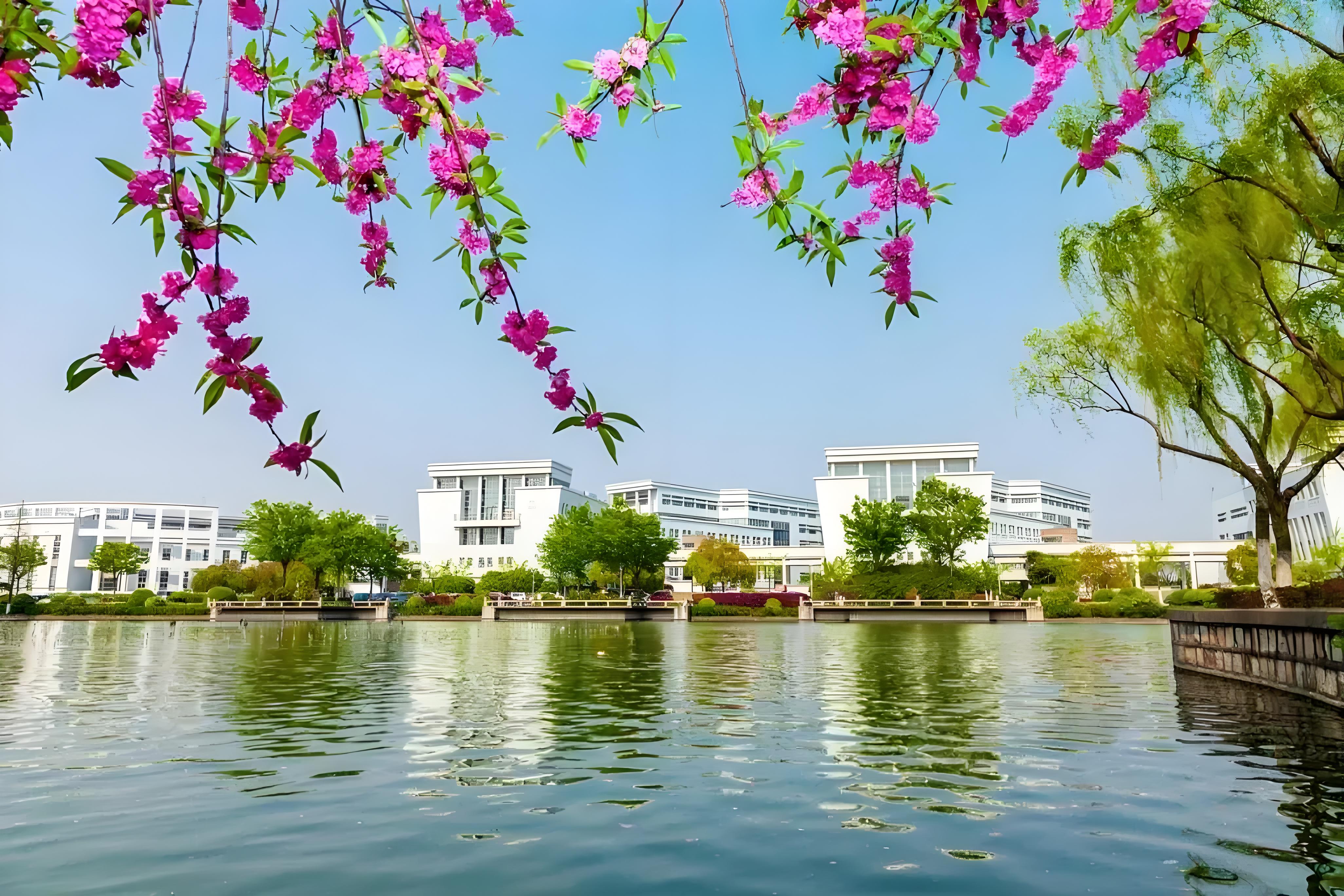 上海大学官网