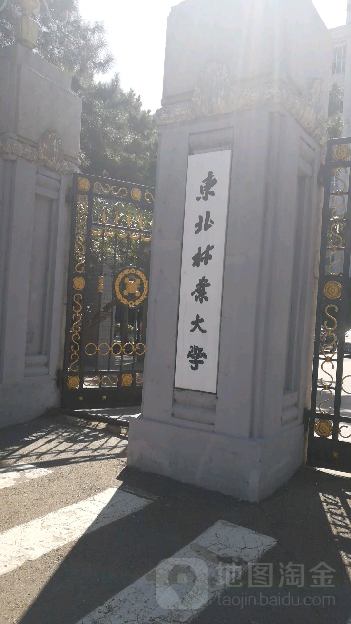 东北林业大学毕业证查询