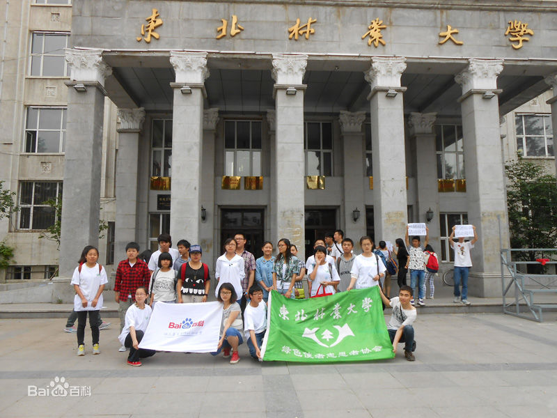 东北林业大学毕业证查询