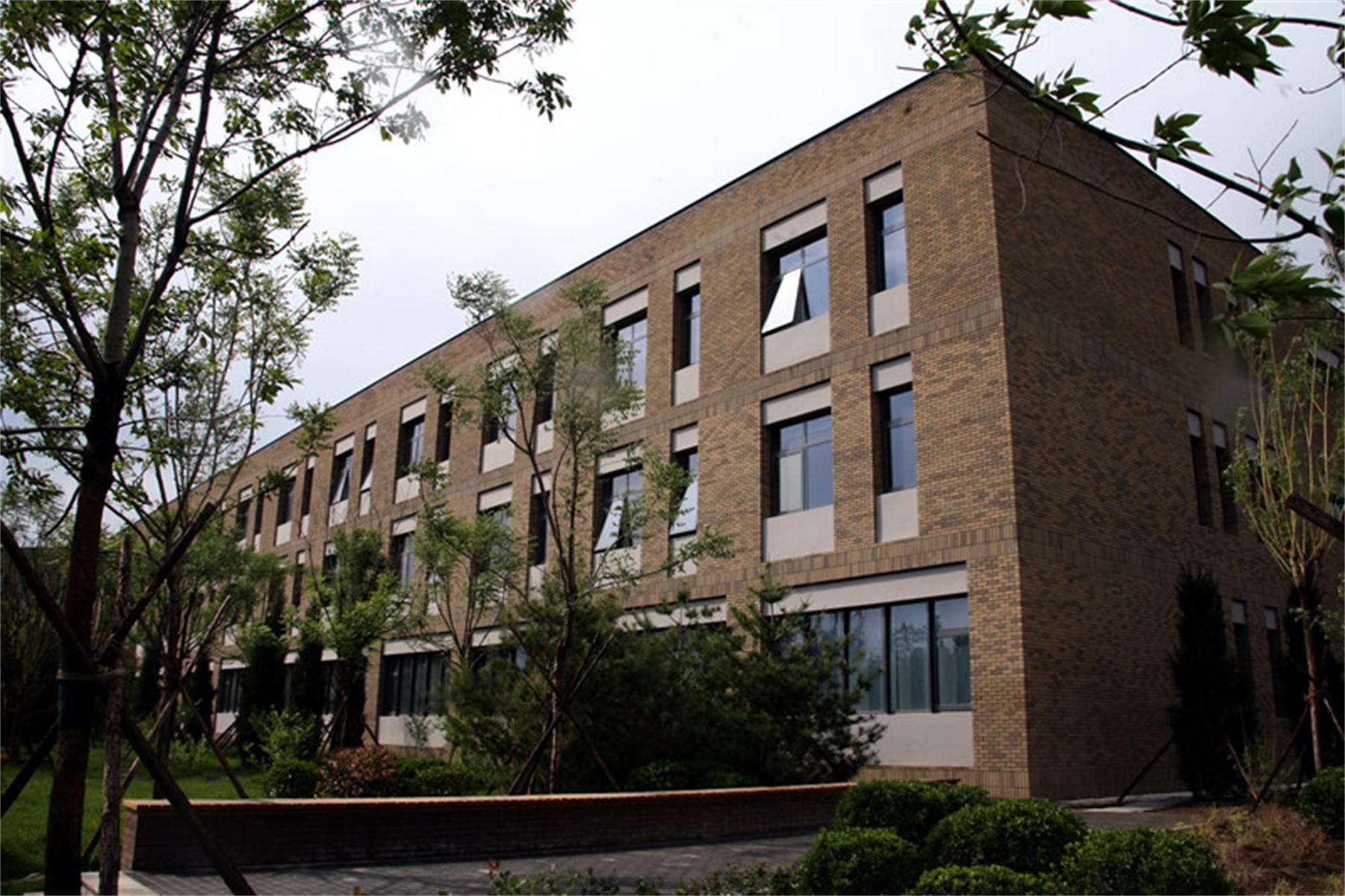 中央财经大学 本科生