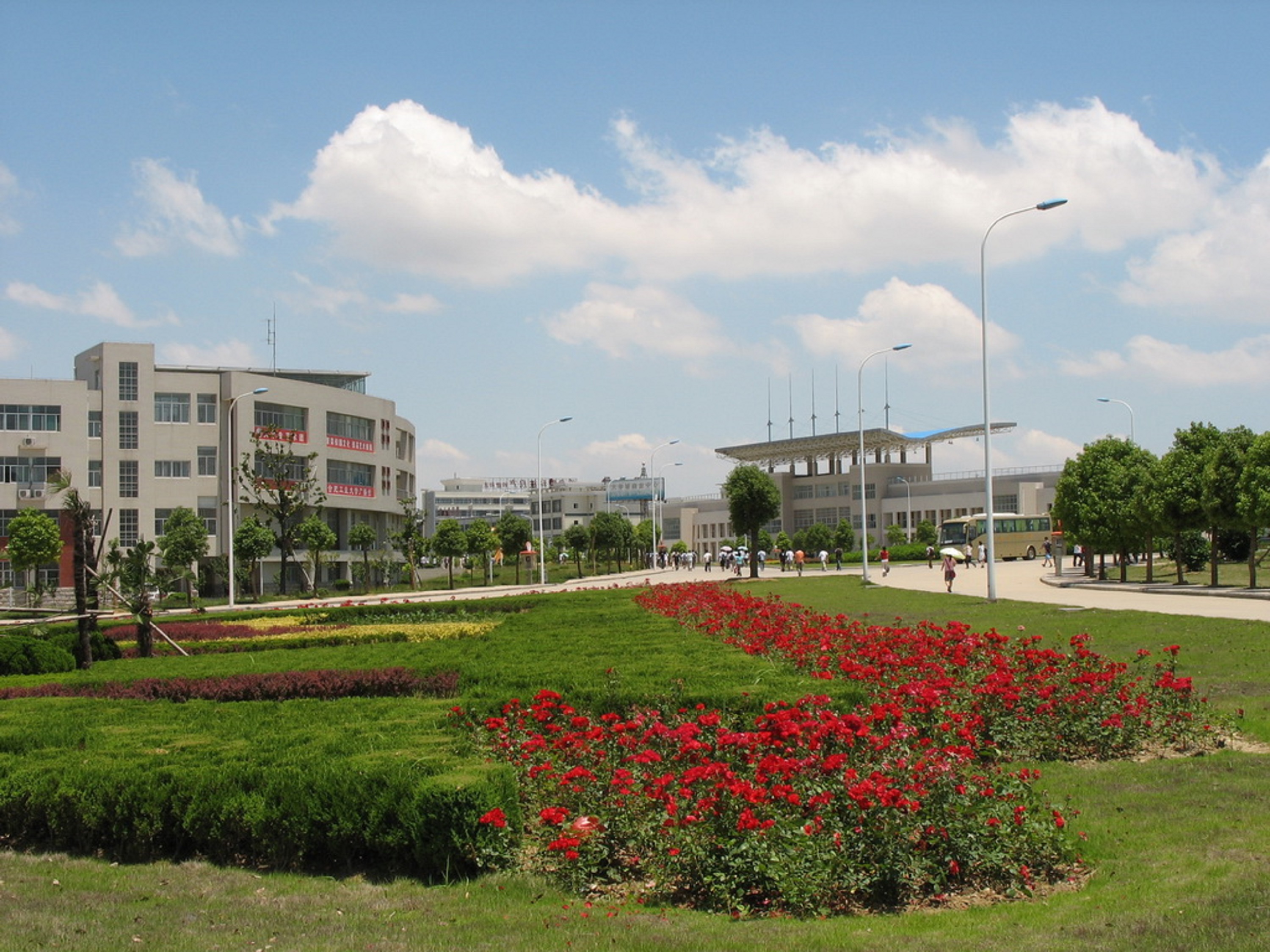 合肥工业大学毕业证什么时候发