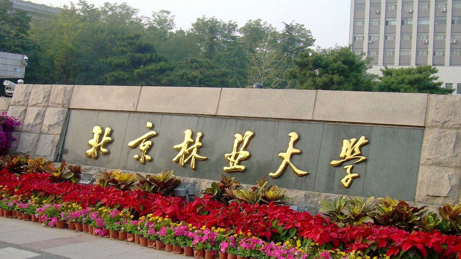 北京林业大学录取查询