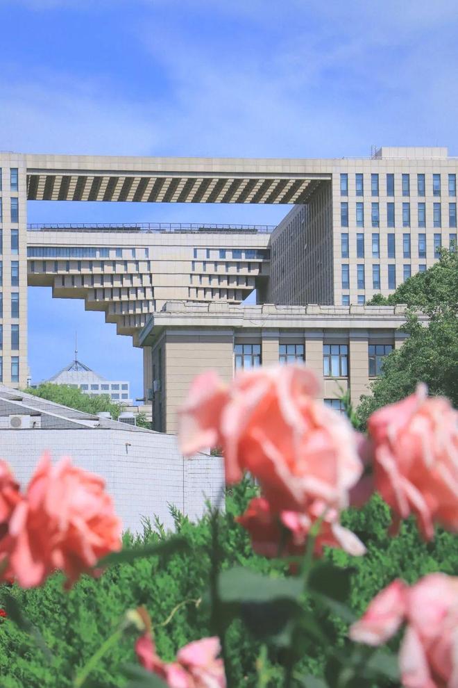 北京林业大学录取查询