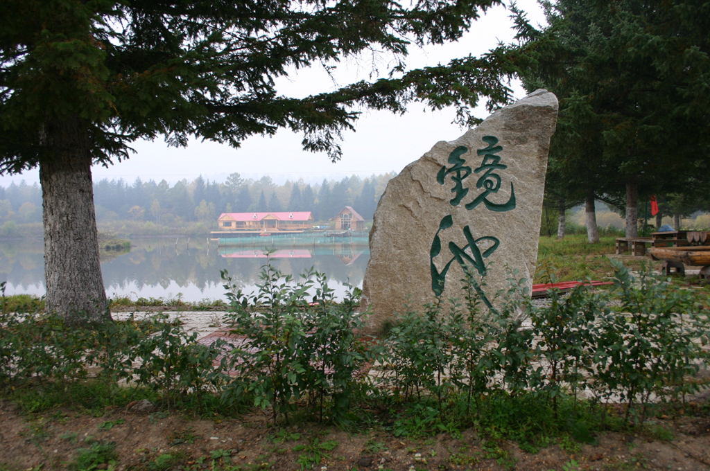 东北林业大学毕业条件