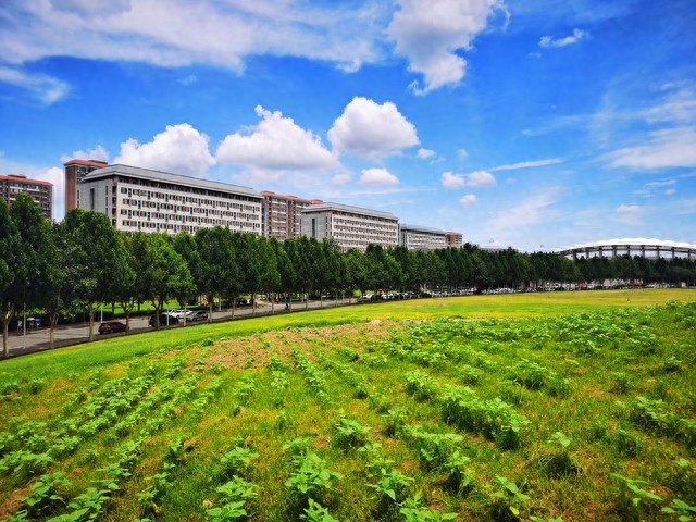 中国农业大学在哪里哪个城市