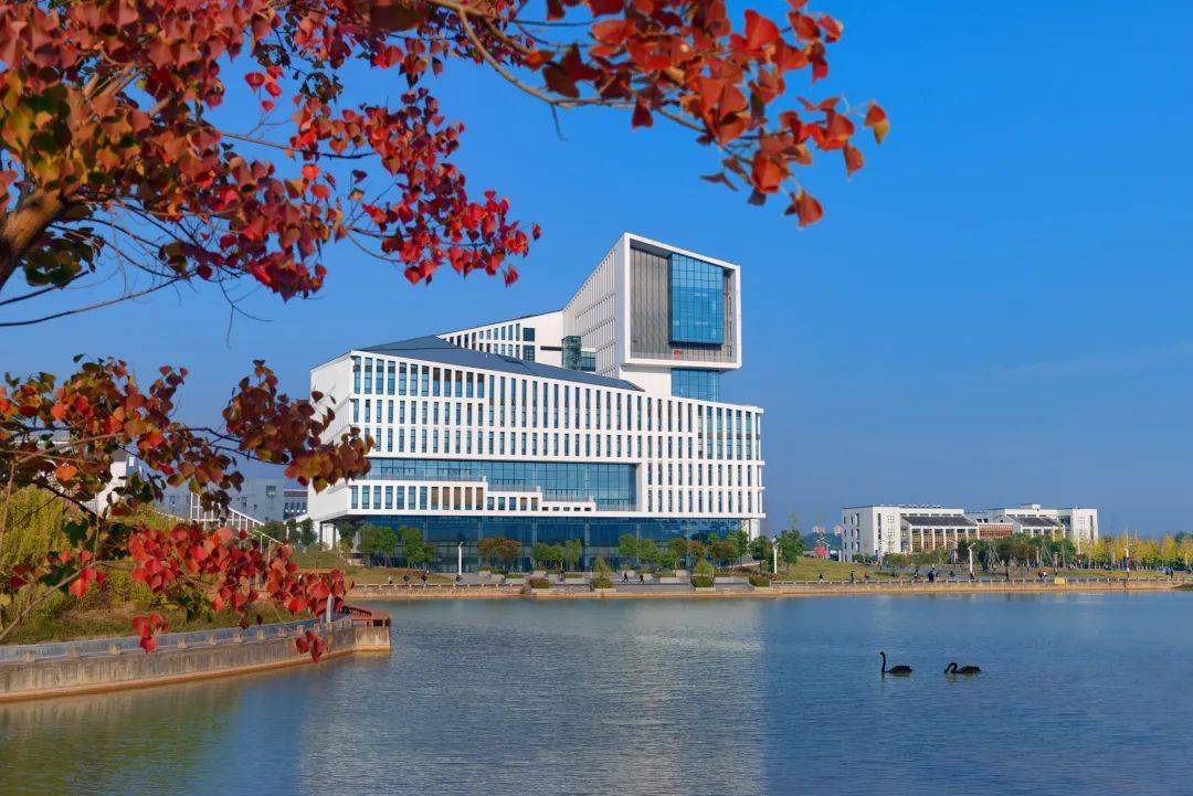 合肥工业大学校长